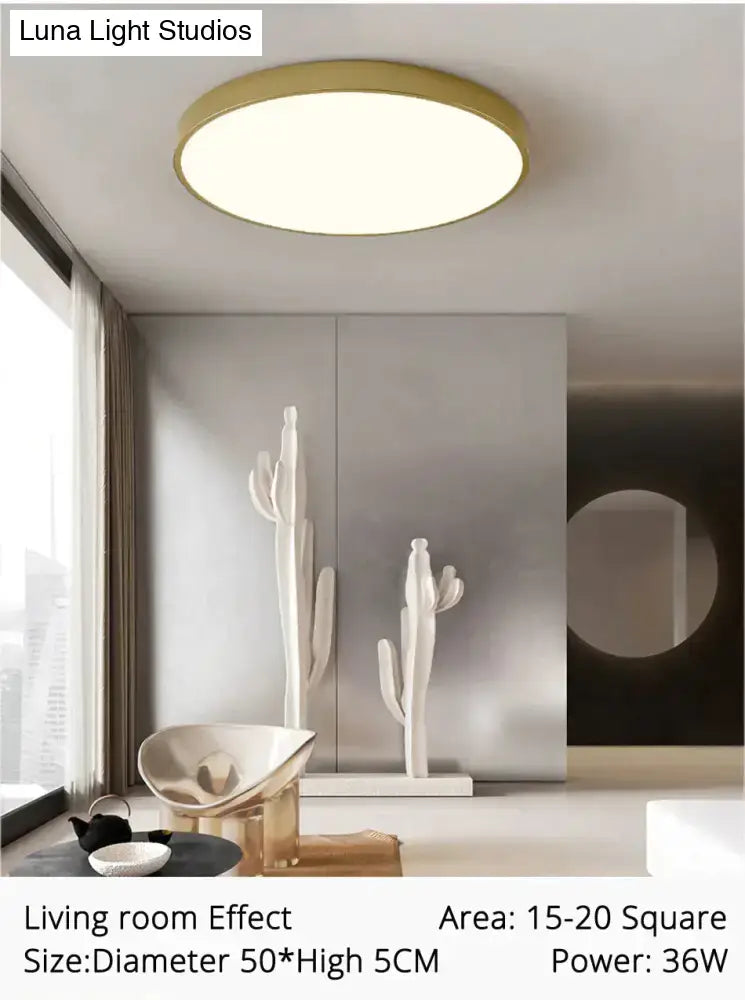 Decorbites modern gold-rimmed circular ceiling light with soft white illuminated center for living room and bedroom