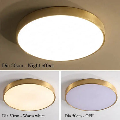 Modern gold led round ceiling light with metallic frame and frosted glass panel for bedroom illumination options