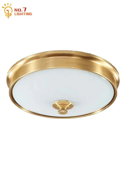 Modern gold lustre copper ceiling lamp with circular frosted glass diffuser and decorative central accent for living room