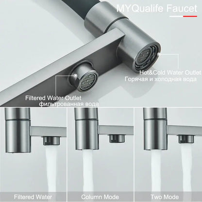 Modern brushed stainless steel gun gray filtered kitchen faucet with dual handle pull out hose and separate hot cold outlets