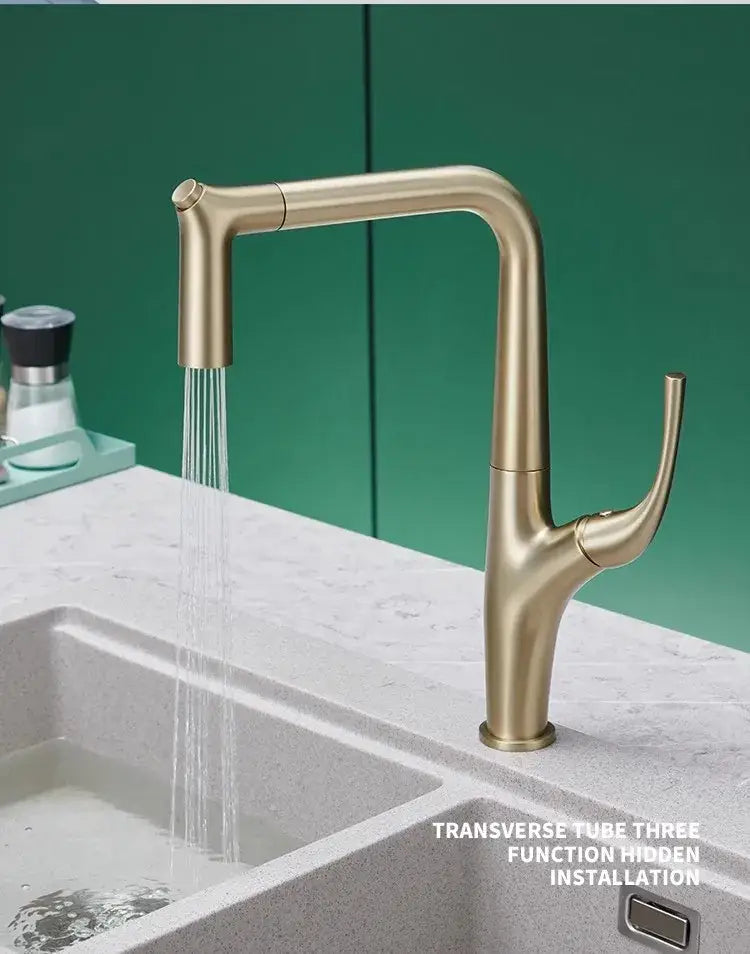 Modern matte black decorbites black kitchen faucet with gold finish pull-down spray head sink mixer for water filter use