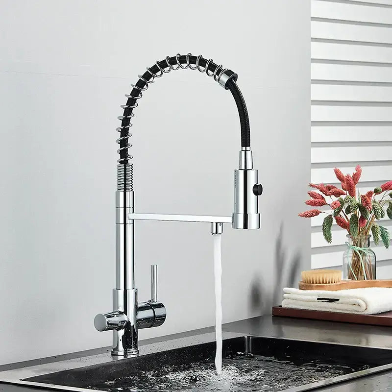 Modern matte black and brushed gold decorbites dual spout water filter kitchen faucet with chrome pull-down flexible hose