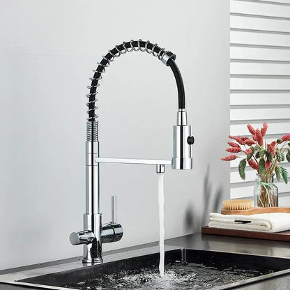 Modern matte black and brushed gold decorbites dual spout water filter kitchen faucet with chrome pull-down flexible hose