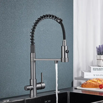 Modern matte black decorbites dual spout water filter kitchen faucet with flexible coiled hose and pull-down spray head