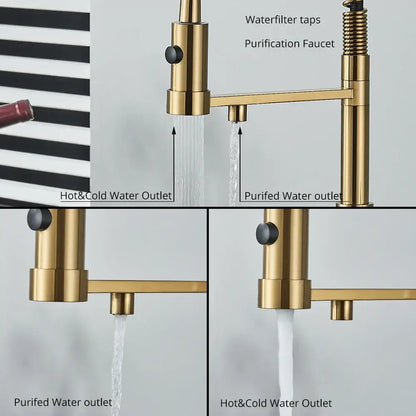 Modern matte black and brushed gold decorbites dual spout water filter kitchen faucet with multiple outlets
