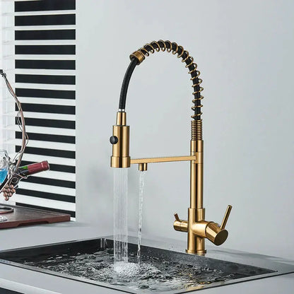 Modern matte black and brushed gold decorbites dual spout water filter kitchen faucet with flexible spring hose and dual handles