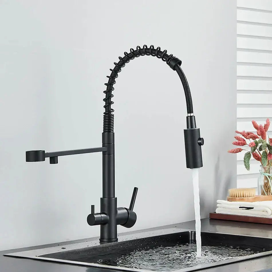 Modern matte black and brushed gold dual spout water filter kitchen faucet with flexible coiled hose and pull-down spray head decorbites dual spout