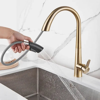 Modern matte black and brushed gold kitchen faucet with gold-toned pull-down spout and black handheld spray head decorbites black brushed