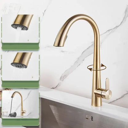 Brass-finished pull-down kitchen faucet with sleek curved spout and integrated spray head in decorbites black brushed gold style