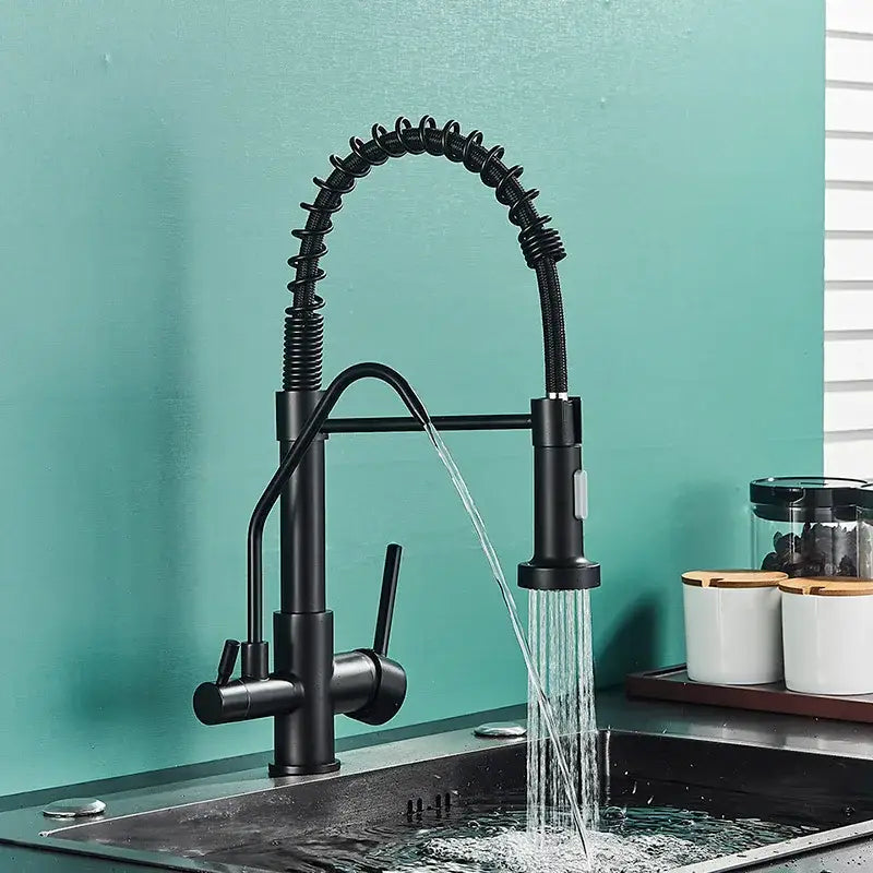 Modern matte black dual handle kitchen faucet with flexible coiled spring neck and purification spout decorbites black dual