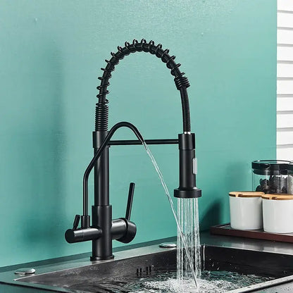 Modern matte black dual handle kitchen faucet with flexible coiled spring neck and purification spout decorbites black dual