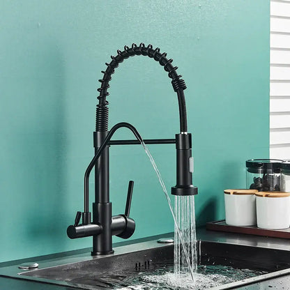 Modern matte black dual handle kitchen faucet with purification spout and flexible coiled hose for kitchen use by decorbites black dual