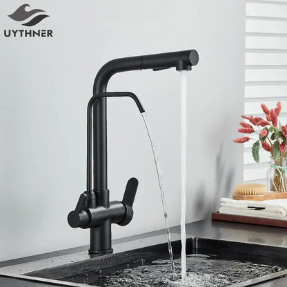 Modern matte black dual handle waterfilter kitchen faucet with a sleek black matte finish and decorbites dual handle design