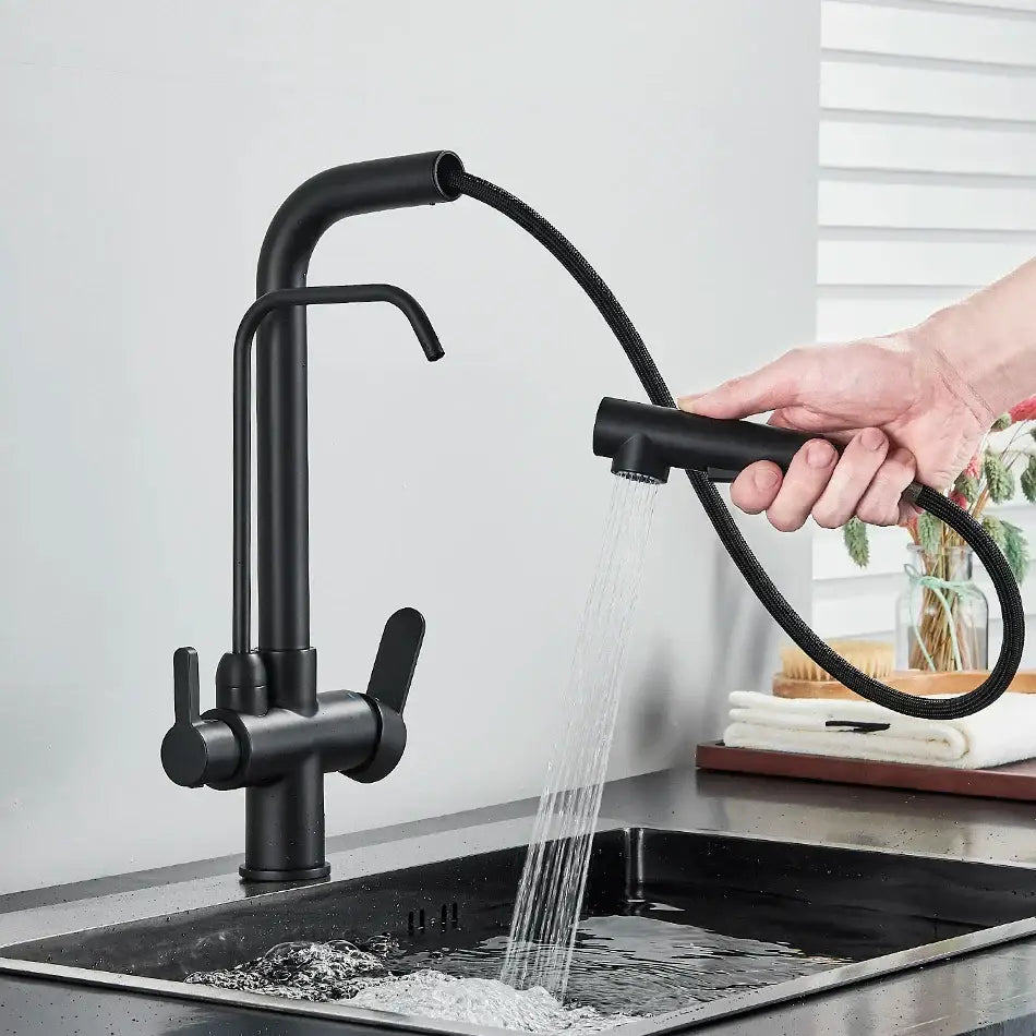 Modern matte black dual handle waterfilter kitchen faucet with a black matte finish pull-out flexible hose by decorbites