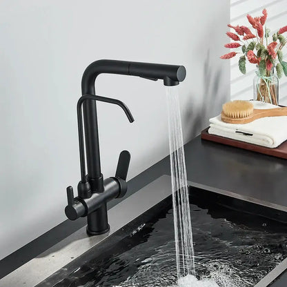 Modern matte black dual handle kitchen faucet with sleek design and decorbites dual handle waterfilter functionality