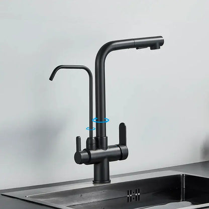 Modern matte black dual handle waterfilter kitchen faucet with sleek design and black matte finish for decorbites dual handle control