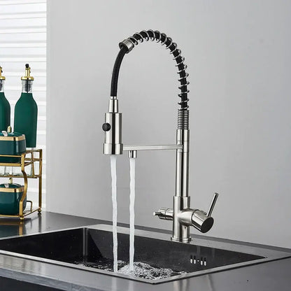 Modern matte black stainless steel decorbites dual spout kitchen water filter faucet with flexible coiled hose and dual nozzles