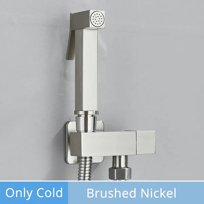 Brushed nickel decorbites brass bidet faucet handheld sprayer with square design and perforated nozzle for bathroom use