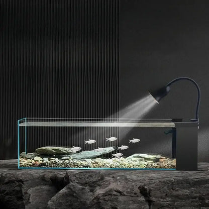 Modern rectangular glass betta fish tank with clear water rocks and silver fish illuminated by black gooseneck lamp decorbites betta fish tank