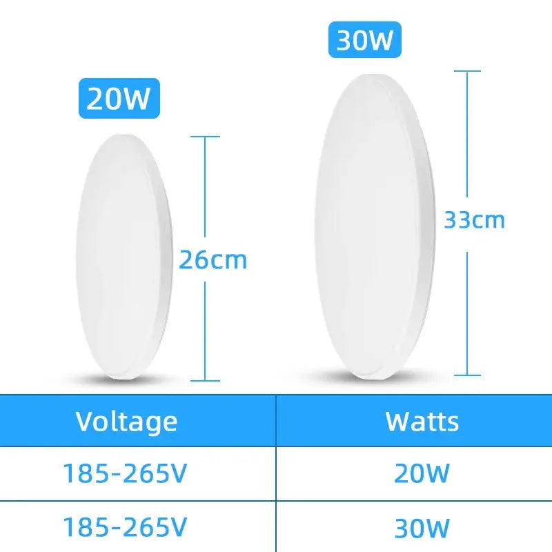 Two white oval decorbites induction led ceiling lights 20w and 30w for modern bedroom ceiling light decor