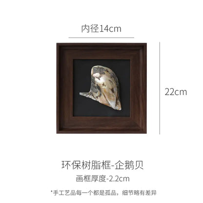 Natural abalone shell decorative painting frame with iridescent oyster mounted in dark brown wood for living room art