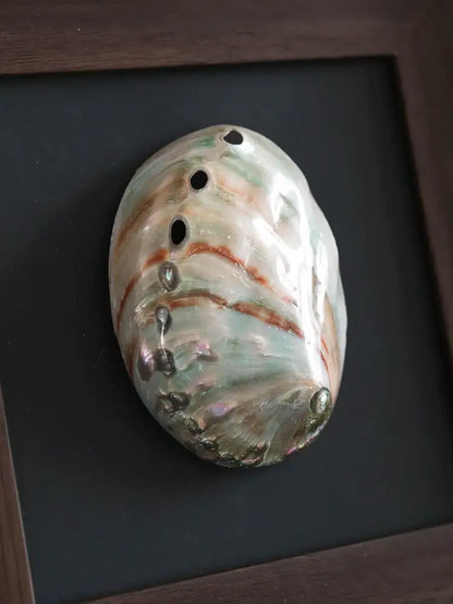 Natural abalone shell decorative painting frame with green brown and silver iridescent patterns in dark wood frame for living room art