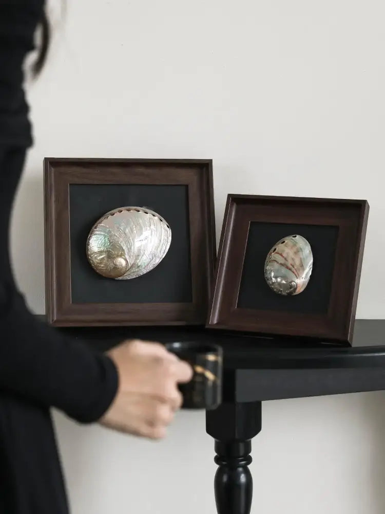 Two natural abalone shells in dark wood decorative painting frames with black backing for living room art display