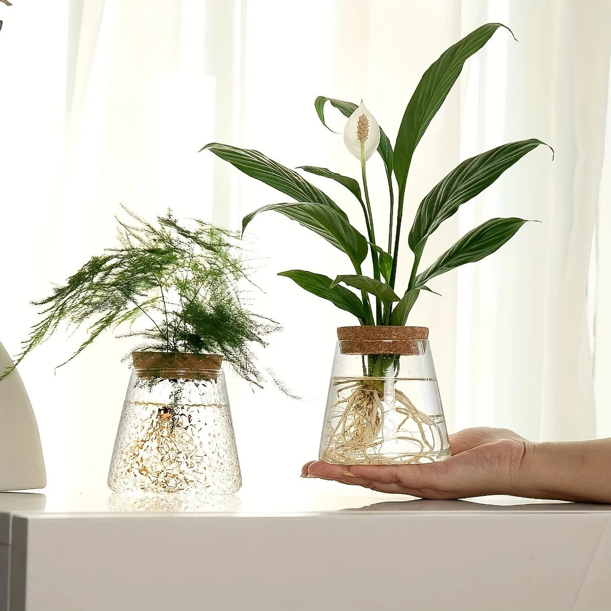 Clear glass nordic hydroponic vases with cork lids holding aquatic houseplants for tabletop decor and gifts