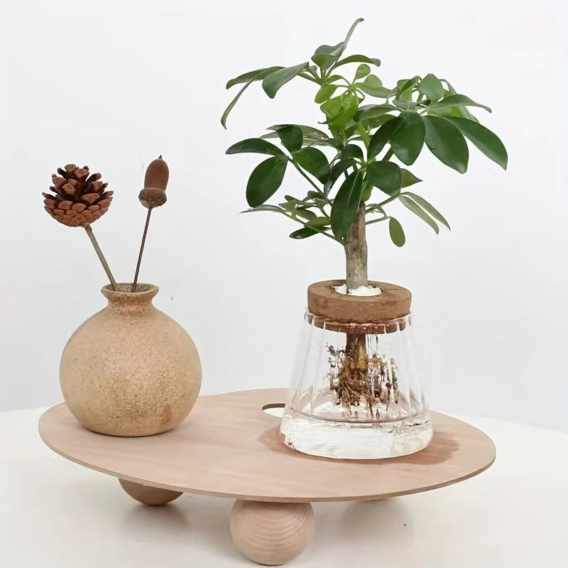 A clear glass nordic hydroponic vase with cork lid holding a green leafy plant for tabletop decor and gift idea