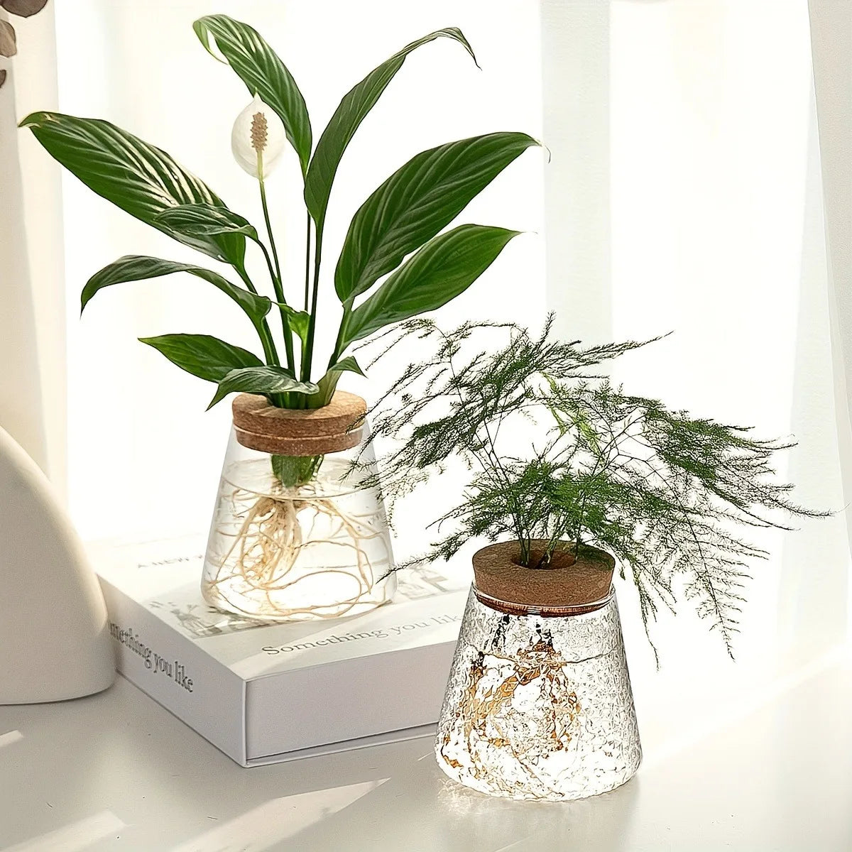 Nordic glass hydroponic vase with tray featuring clear glass water planters with cork lids holding peace lily and asparagus fern