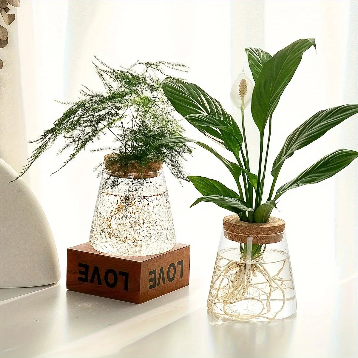 Clear textured glass hydroponic vase with cork lids and visible roots mini self-watering planter for tabletop use