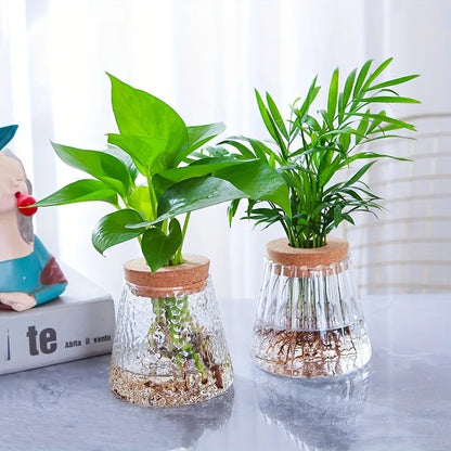 Two clear glass nordic hydroponic vases with textured surfaces and cork lids holding green leafy plants on a tray