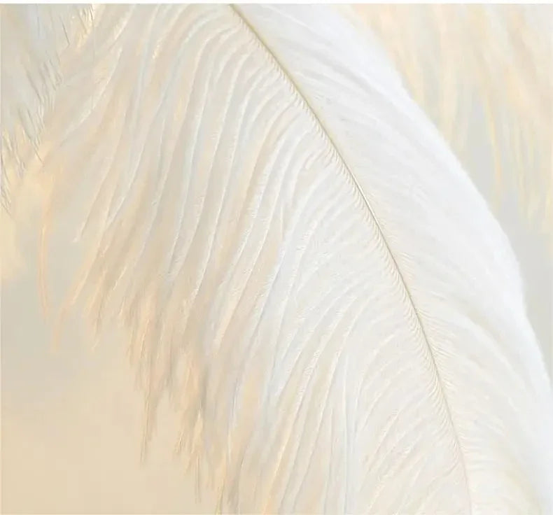 A soft white feather detail on a Nordic ostrich feather floor lamp for living room and bedroom decor