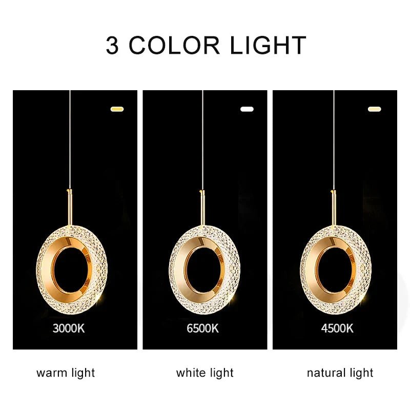 Nordic Ring LED Pendant Light in Iron, Aluminum & Acrylic - Decorbites