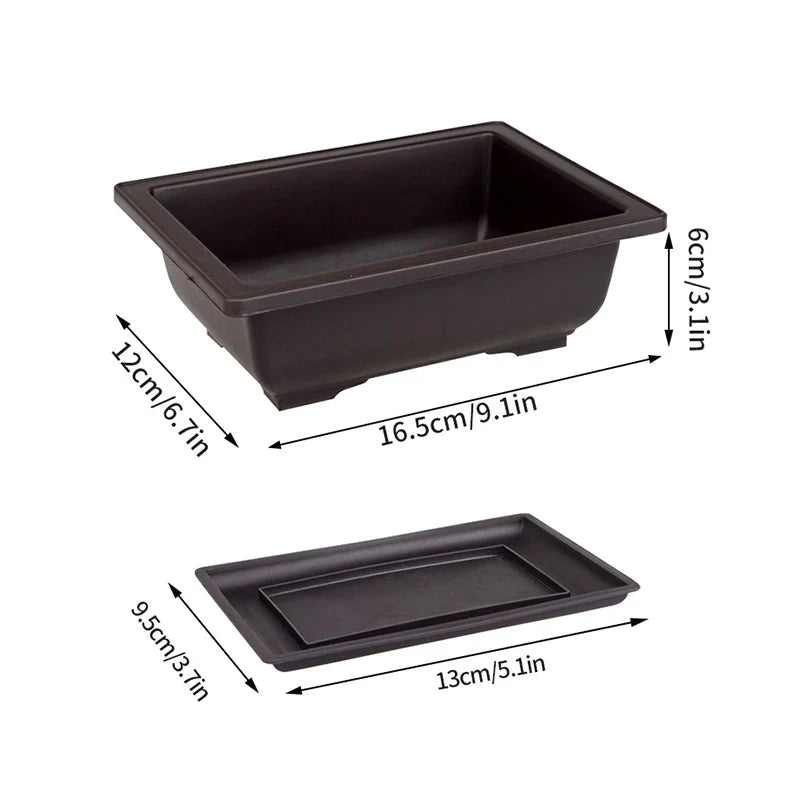 Black rectangular plastic bonsai pot with matching lid for succulent plants pots and outdoor garden landscape use