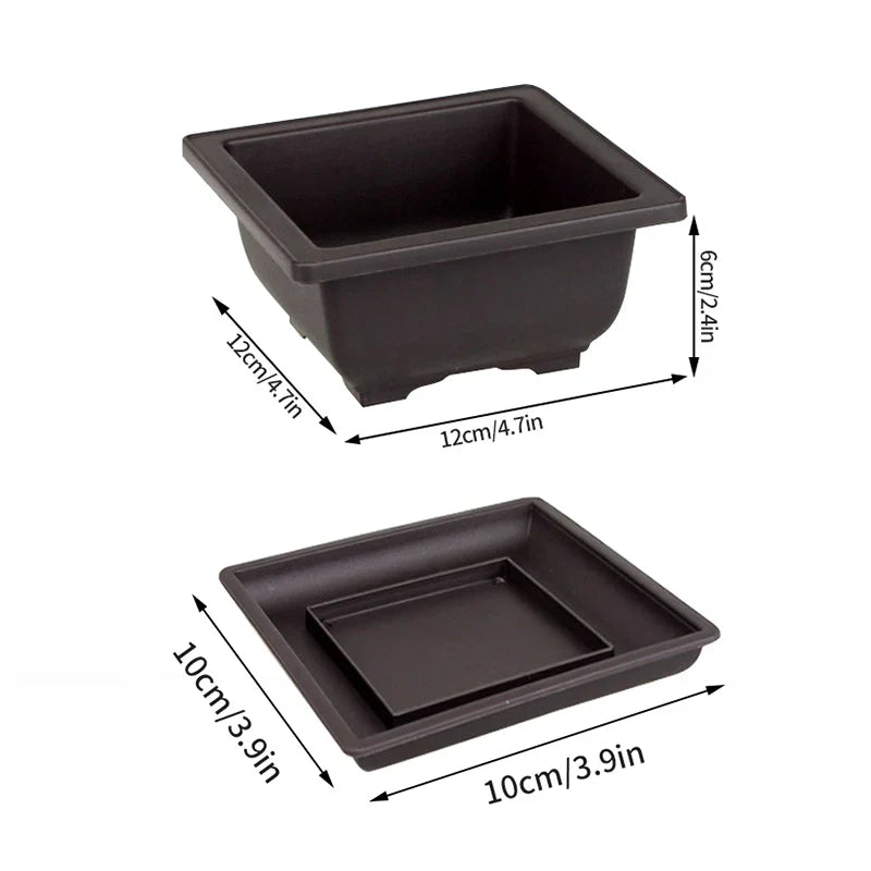 Black rectangular plastic bonsai pot with matching tray for outdoor garden succulent plants pots and landscape use
