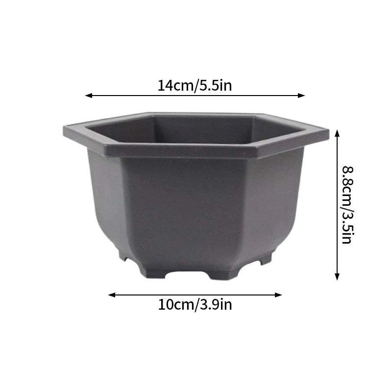 Dark gray hexagonal plastic bonsai pot with rounded corners and tapered design for succulent plants pots and outdoor use