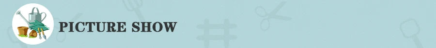 A light blue background with a circular logo and text next to outdoor garden bonsai pot for succulent plants pots