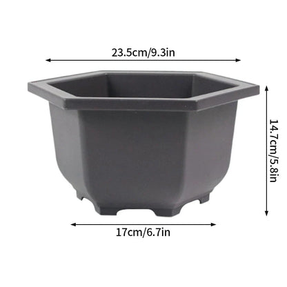 Dark gray hexagonal plastic bonsai pot with rounded edges for outdoor garden landscape succulent plants pots