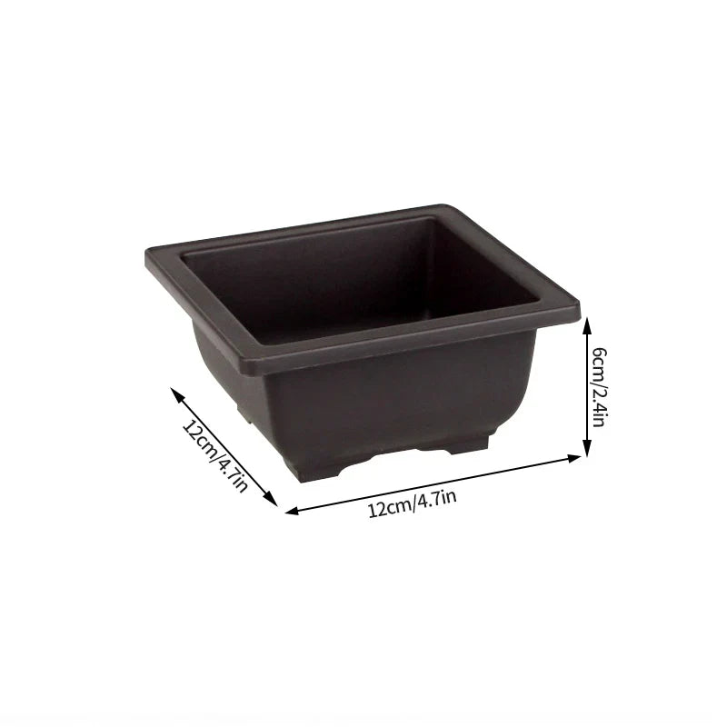 Black rectangular plastic bonsai pot with rounded corners and raised rim for outdoor garden succulent plants pots
