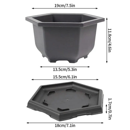 Dark gray hexagonal plastic bonsai pot with matching tray for outdoor garden landscape succulent plants pots