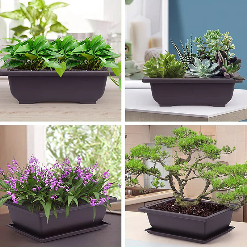 Dark gray rectangular ceramic bonsai pot with matching saucer featuring succulent plants pots and miniature pine tree