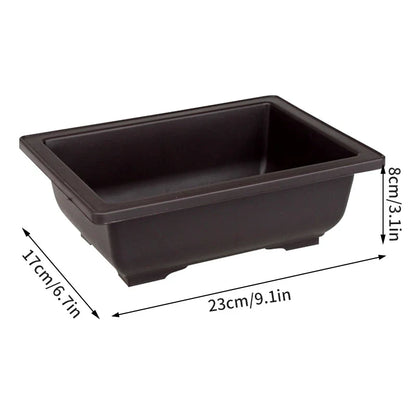 Dark brown rectangular plastic bonsai pot with rounded corners and shallow wide interior for succulent plants pots
