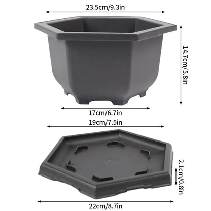 Black hexagonal plastic bonsai pot with matching tray designed as outdoor garden succulent plants pots imitation purple clay