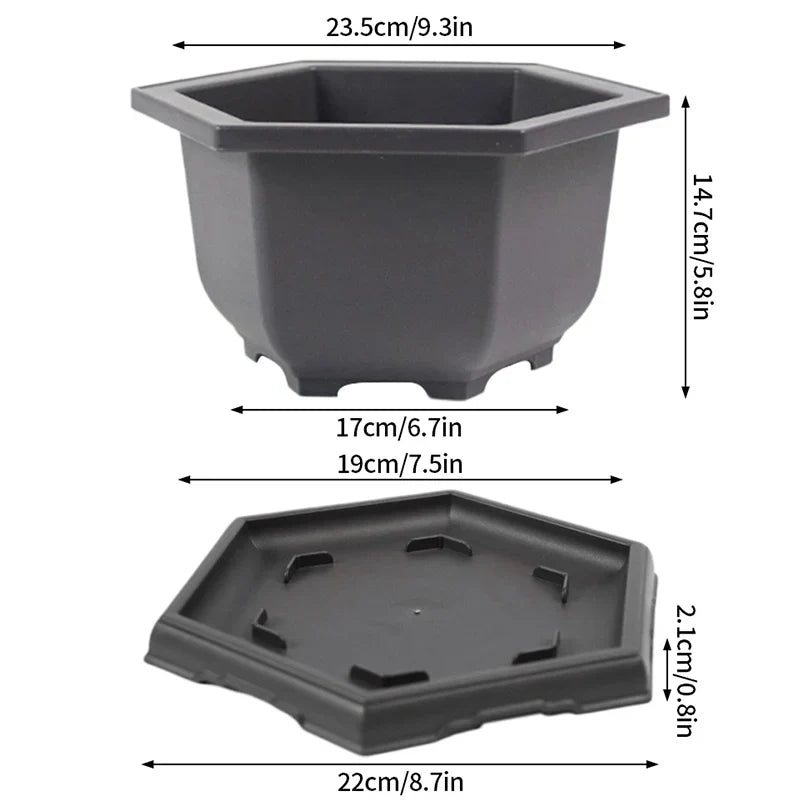 Black hexagonal plastic bonsai pot with matching tray designed as outdoor garden succulent plants pots imitation purple clay