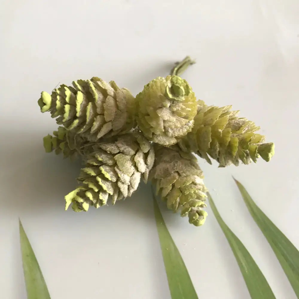 A pastel pinecone artificial flower wreath featuring green textured pinecones with white speckling for living room decor