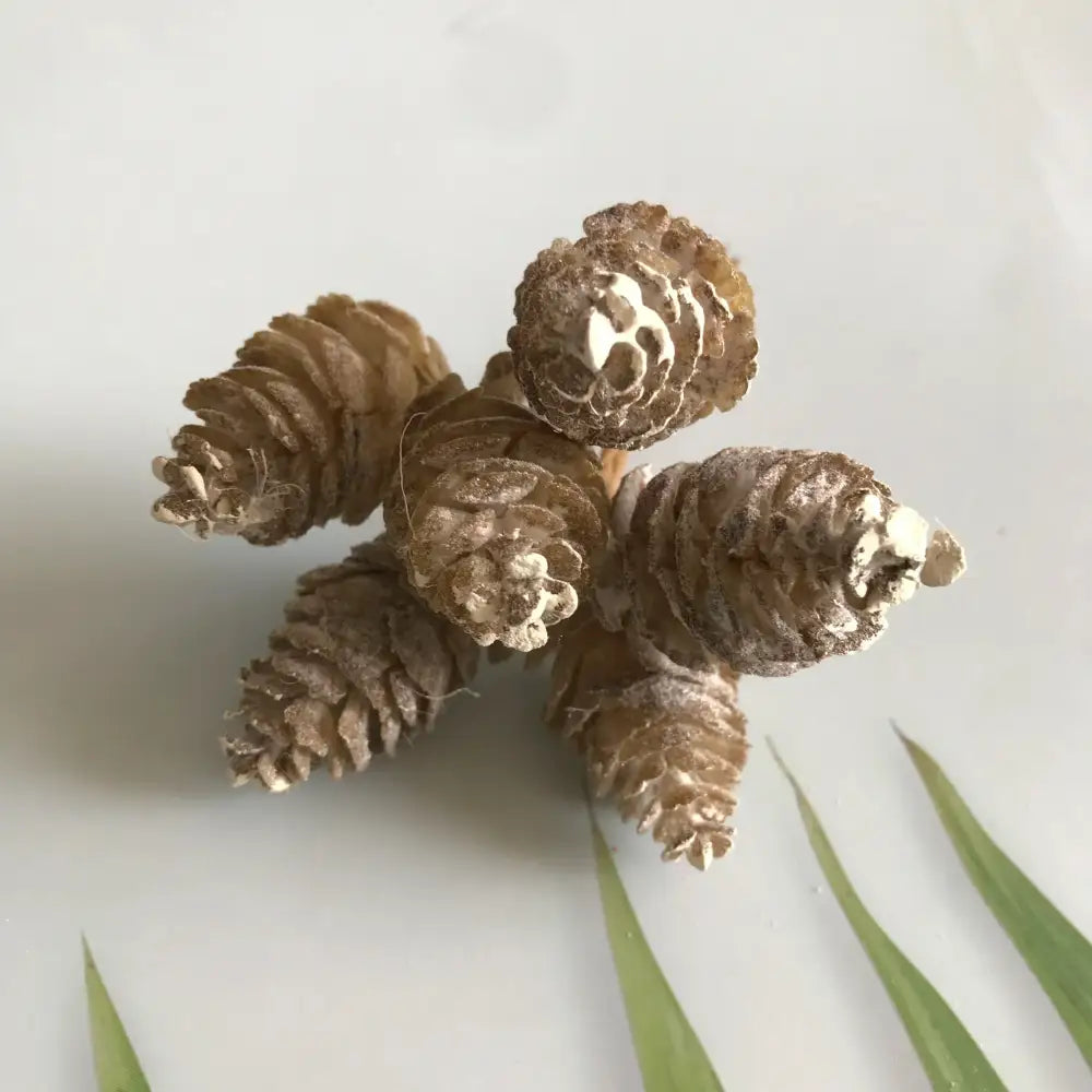 A cluster of five dried pinecones with rustic brown scales in a pastel pinecone artificial flower wreath for living room decor
