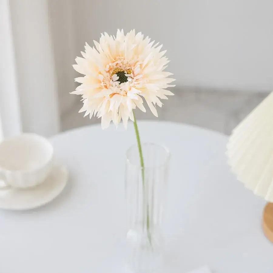 A delicate cream-colored artificial gerbera with layered petals in a clear glass brushed gerbera vase for living room decor