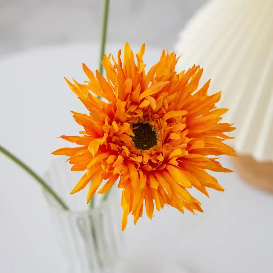 A vibrant orange gerbera with spiky petals in a pink brushed gerbera vase for living room floral decor