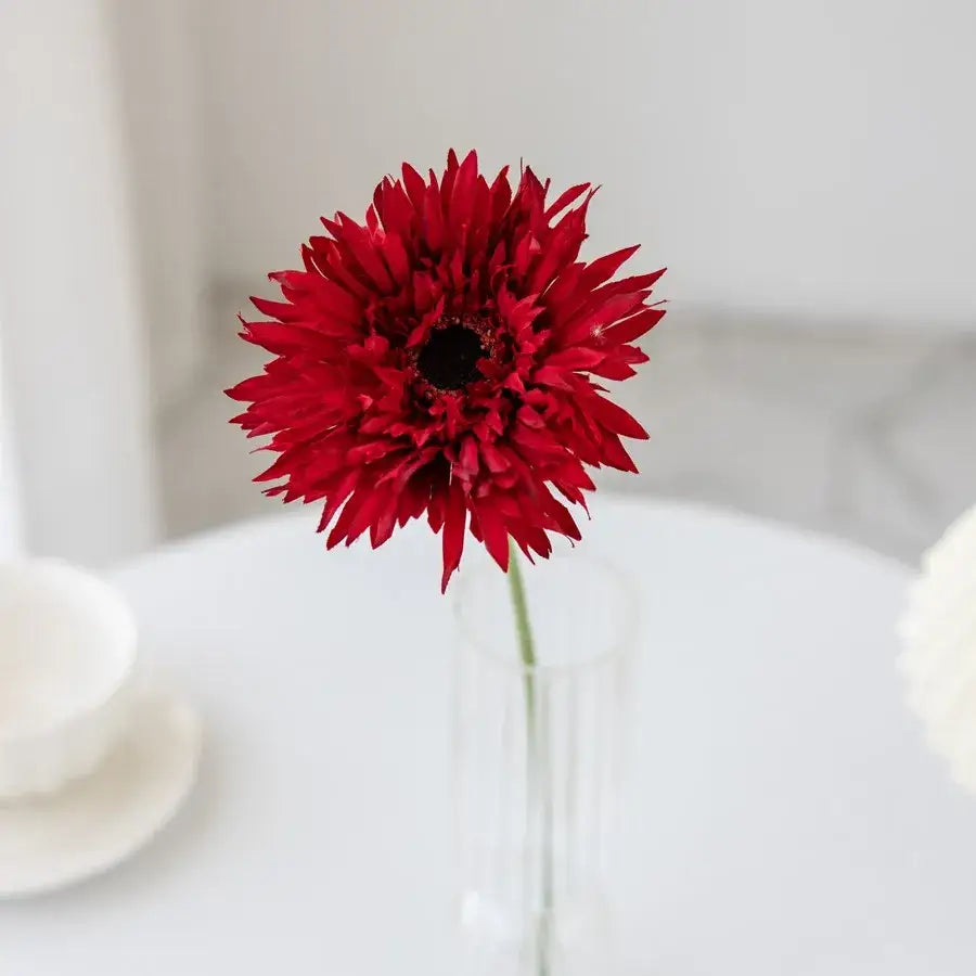 A vibrant red gerbera in a clear glass brushed gerbera vase ideal for pink brushed gerbera vase living room decor
